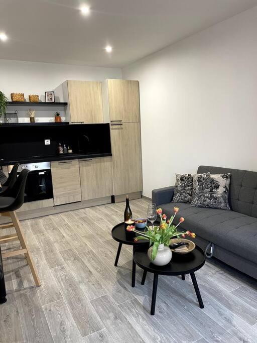 Bel Appartement Sur Cour Plein Centre Ville Et Parking Мулен Екстер'єр фото